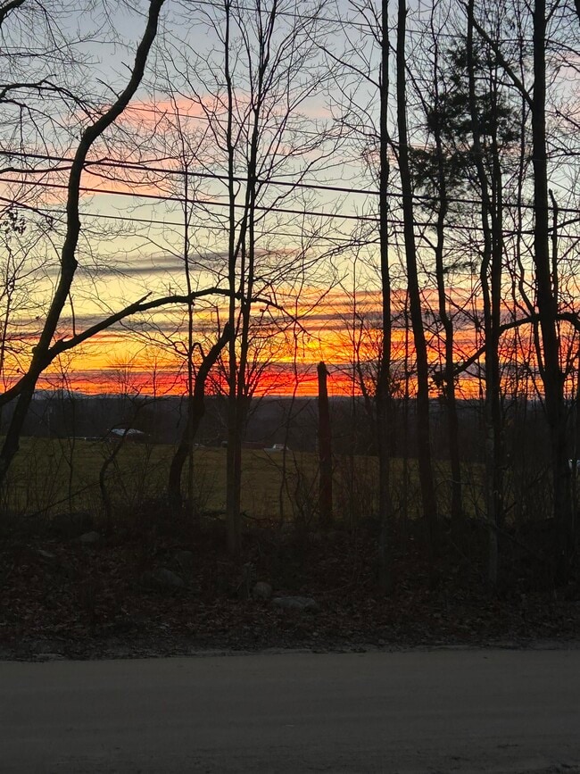 Building Photo - 293 Bear Hill Rd