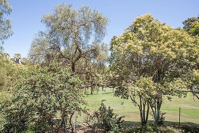 View from Balcony - 903 Sunrose Terrace