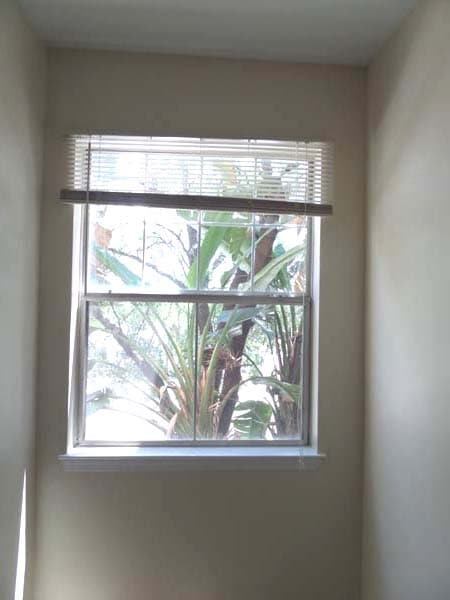 The view from the bedroom - 2010 E Palm Ave
