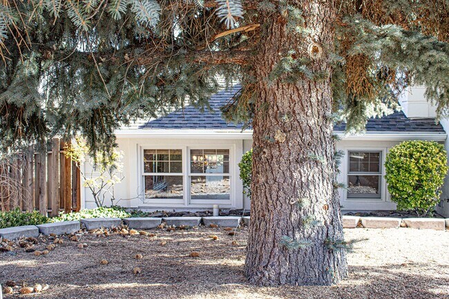 Building Photo - Custom home in Southwest Reno, 3 Bedrooms, 2 Bathrooms, Large Garage