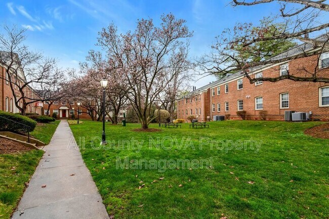 Building Photo - 2405 Arlington Blvd