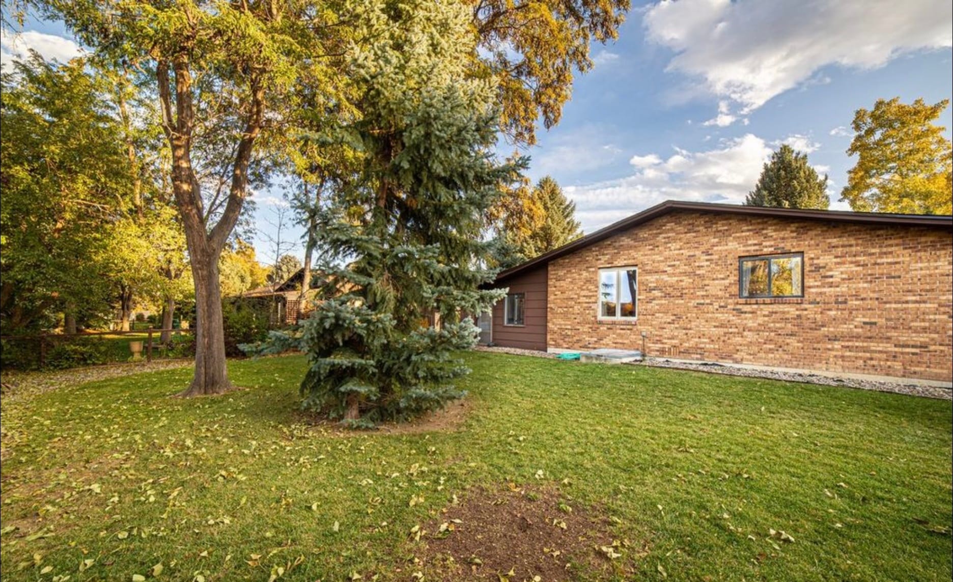 Building Photo - 1143 Ulmus Dr