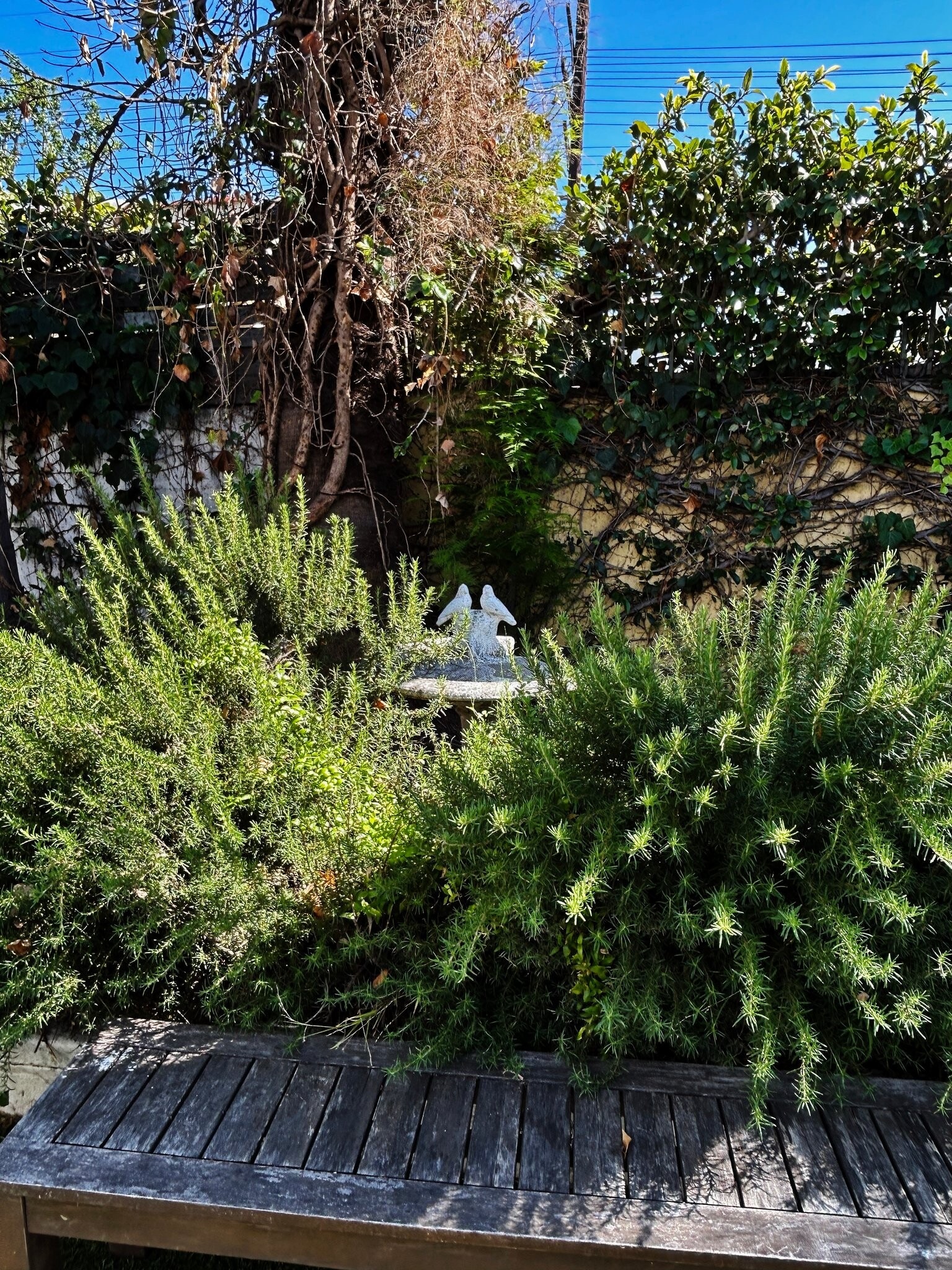 Building Photo - 806 N Poinsettia Pl