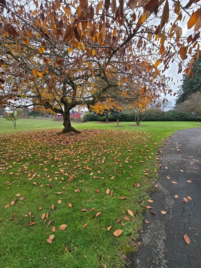 Building Photo - Pet Friendly 3 Bed / 2Bath Home with 2 Garages, Open Air Covered Storage, Large Open Yard, and more!