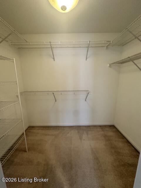 Building Photo - 10600 Norton Commons Walk