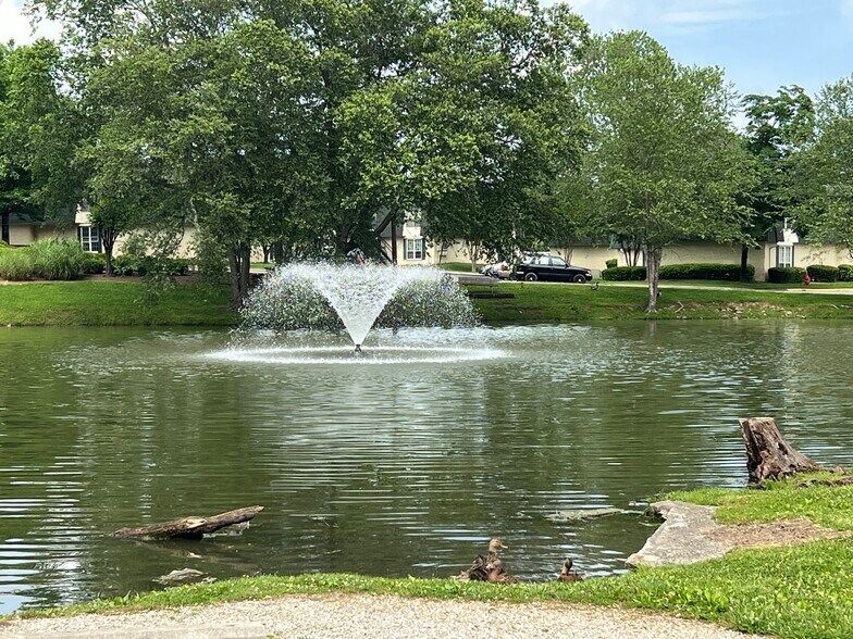 Pond - 900 Mountain Creek Rd
