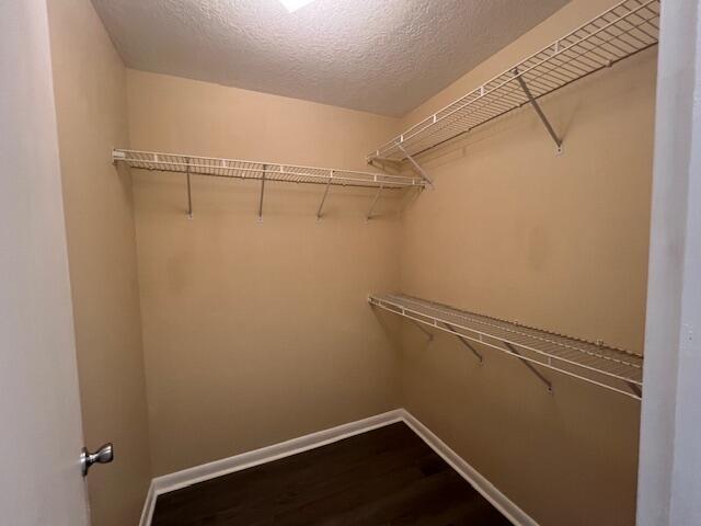 Building Photo - 2828 Hinda Rd