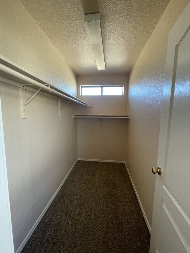 Building Photo - 3425 Scarlet Point Dr