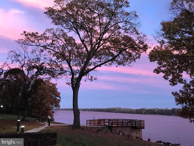 Building Photo - 5100 Convent Ln