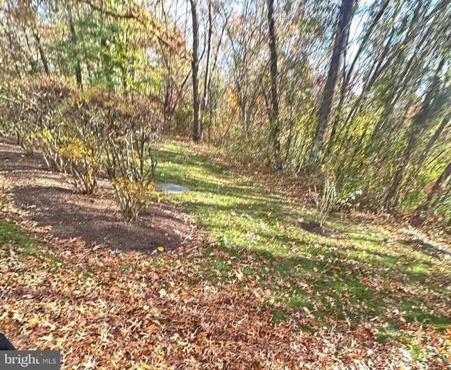 Building Photo - 11445 Deepwood Dr