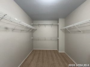 Building Photo - 10539 Cougar Chase
