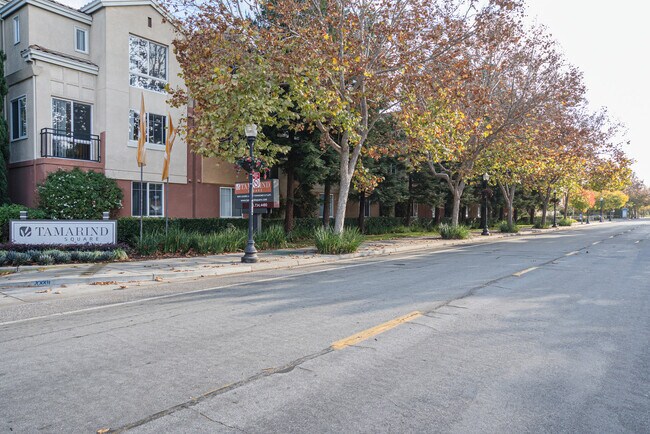 Building Photo - 1164 Morse Ave