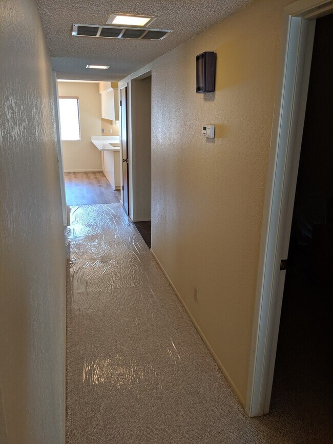 Building Photo - 203 Patricia Ct