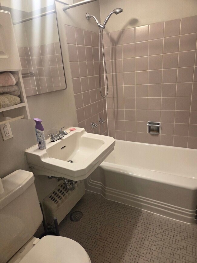 Building Photo - 3100 N Lake Shore Dr