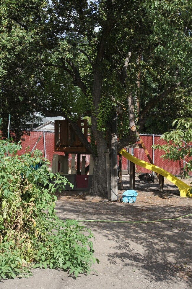 Building Photo - Beautiful Large Home in the Avenues