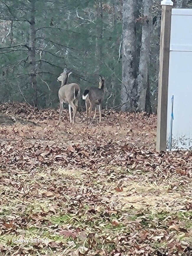 Building Photo - 6036 Seneca Trail