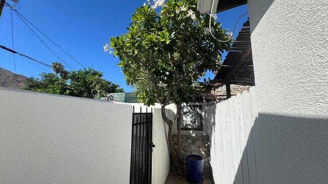 Building Photo - 573 S Calle Palo Fierro