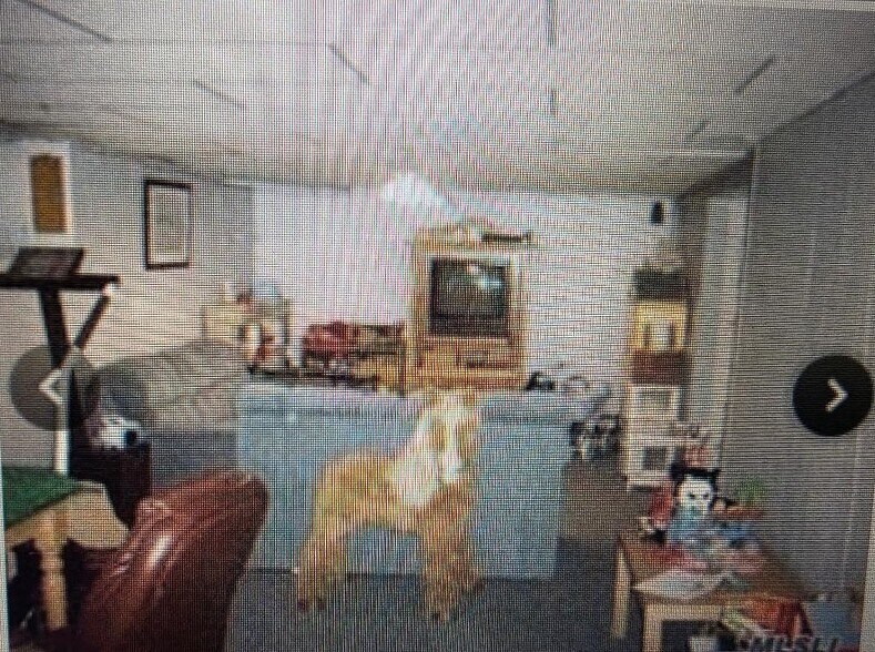 Building Photo - 139 Parkside Ave