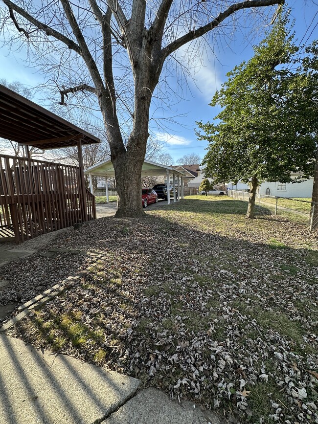 Large Back Yard - 4608 S 3rd St