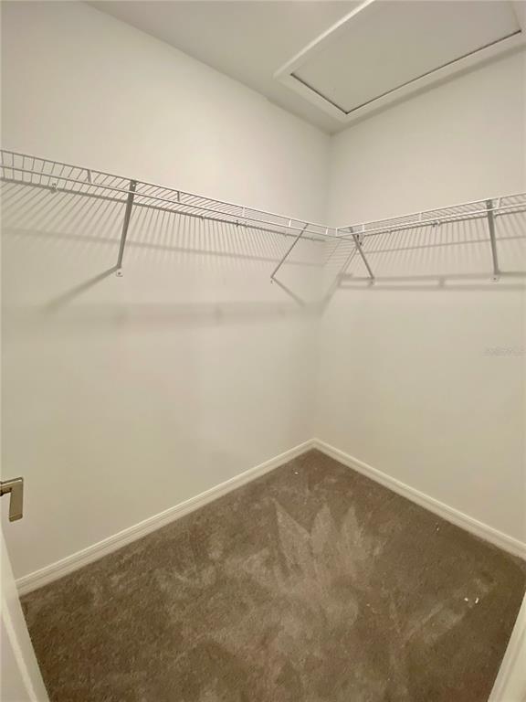 Building Photo - 6246 Shiner St