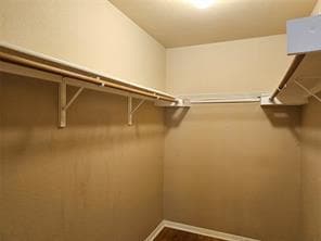 Building Photo - 2204 Zoa Dr