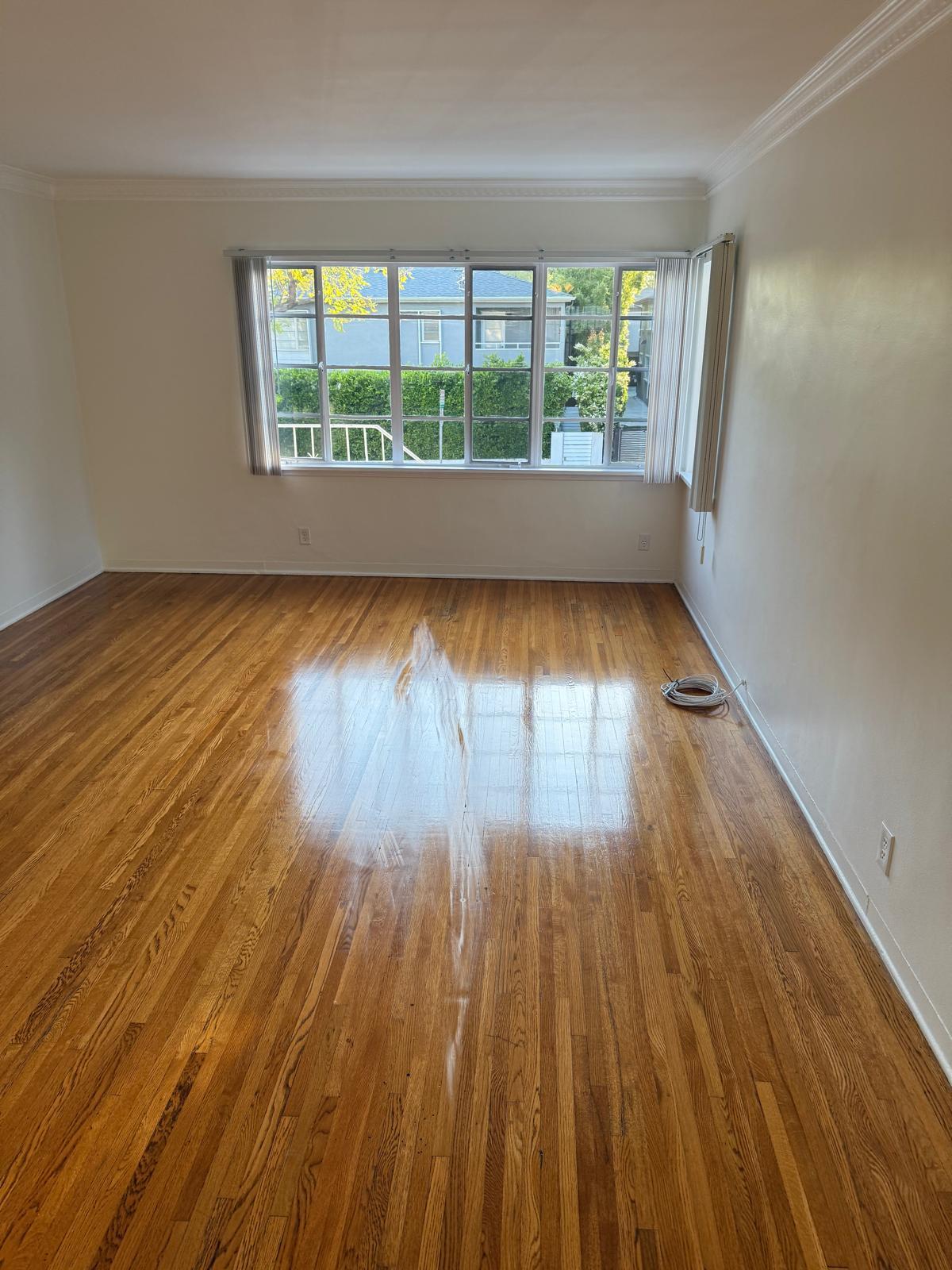 Living room - 1114 N Sweetzer Ave