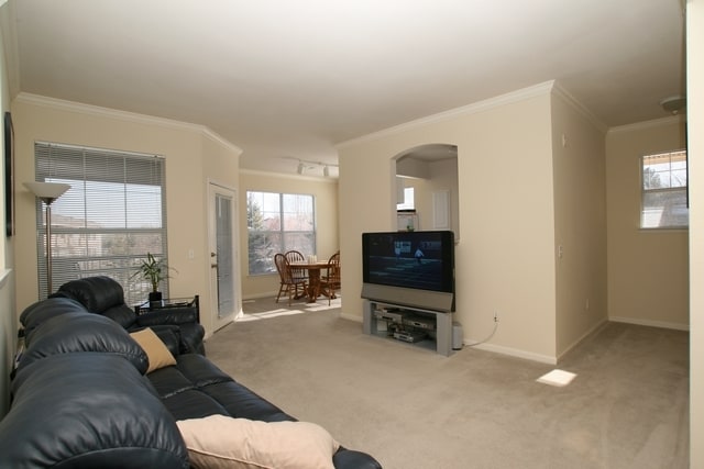 Living Room - 7442 S Quail Cir