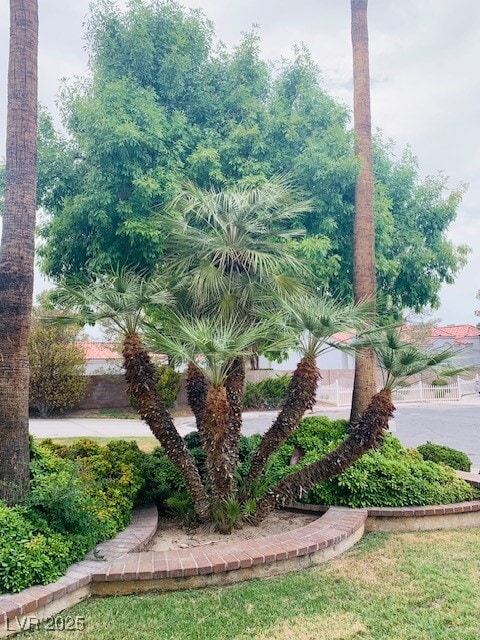 Building Photo - 8737 Vista Cantera Ct