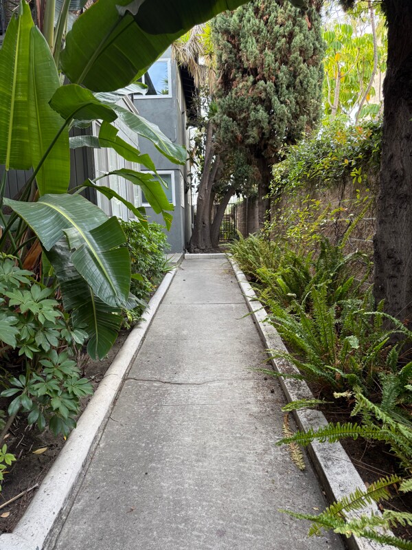 Building Photo - 811 Austin Ave