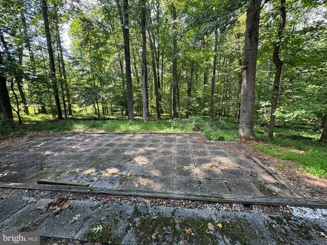 Building Photo - 11717 Happy Choice Ln
