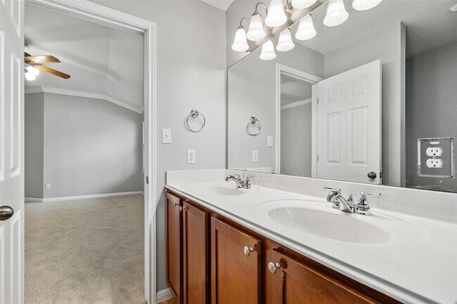 Building Photo - 2505 Rusk Ct