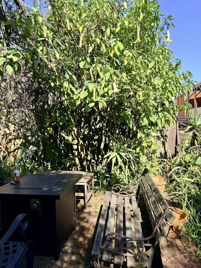 Building Photo - 2536 Sutter St