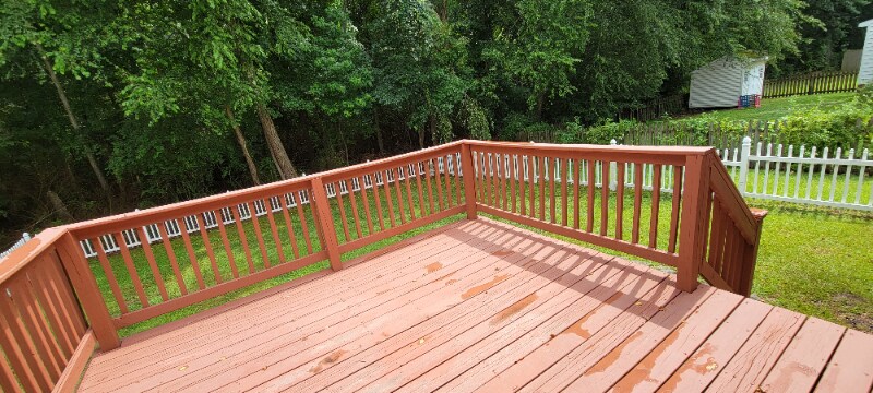 Building Photo - 1009 Sebring Dr
