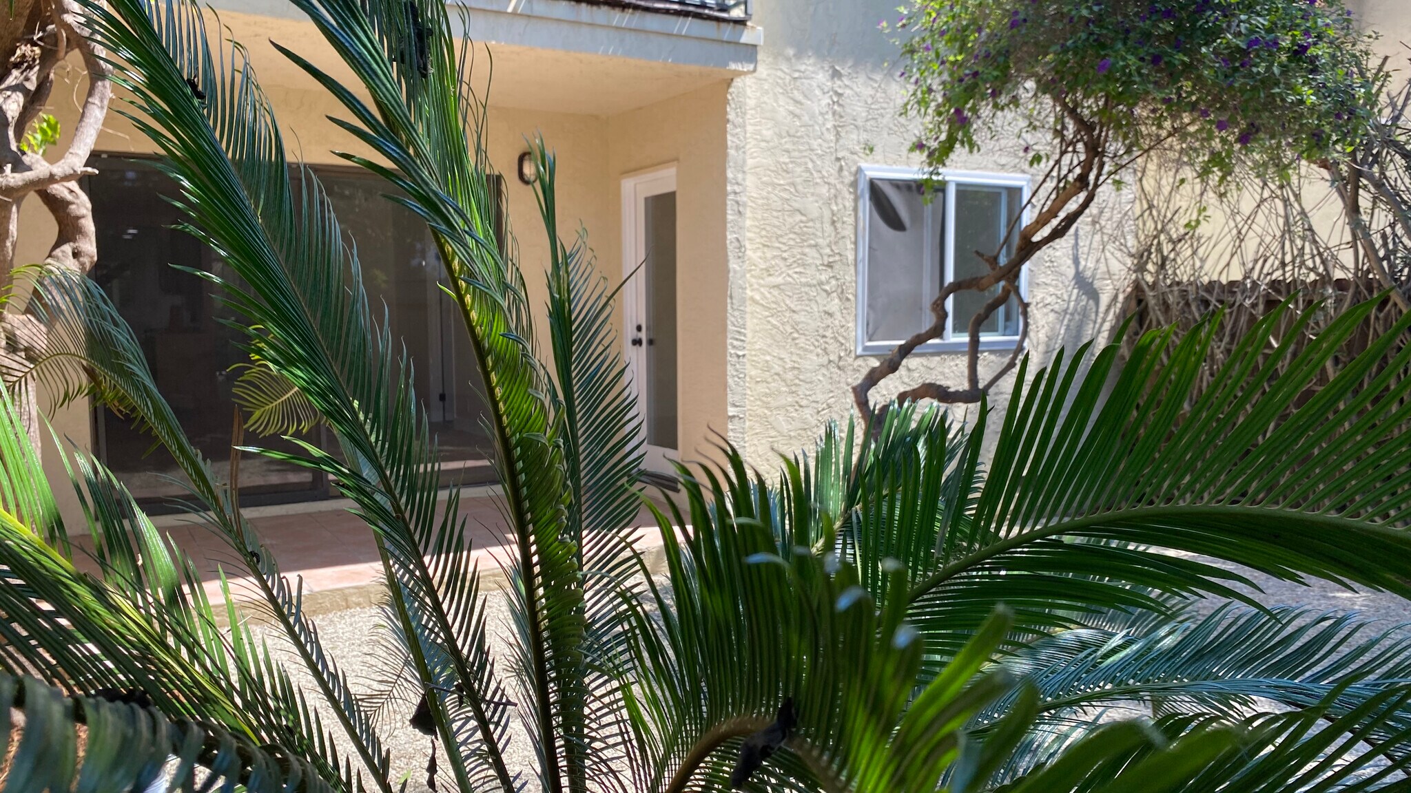 Courtyard View - 6474 Cavalleri Rd