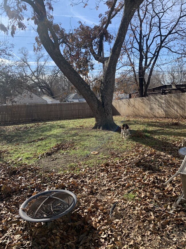 Building Photo - 1013 W 9th Ave