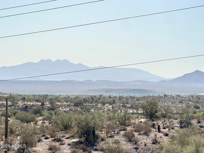 Building Photo - 10401 N Saguaro Blvd