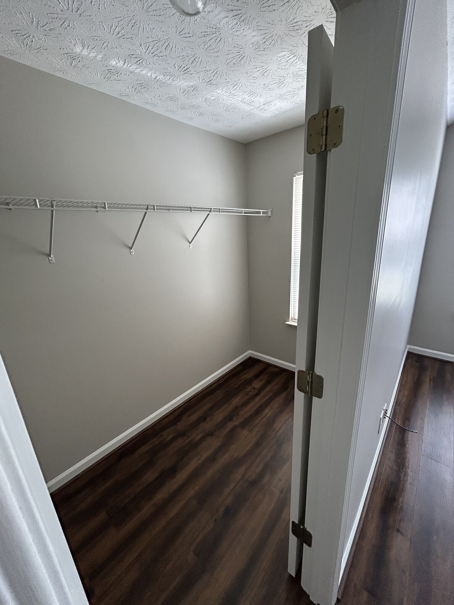 Building Photo - 2903 Greyhawk Ln