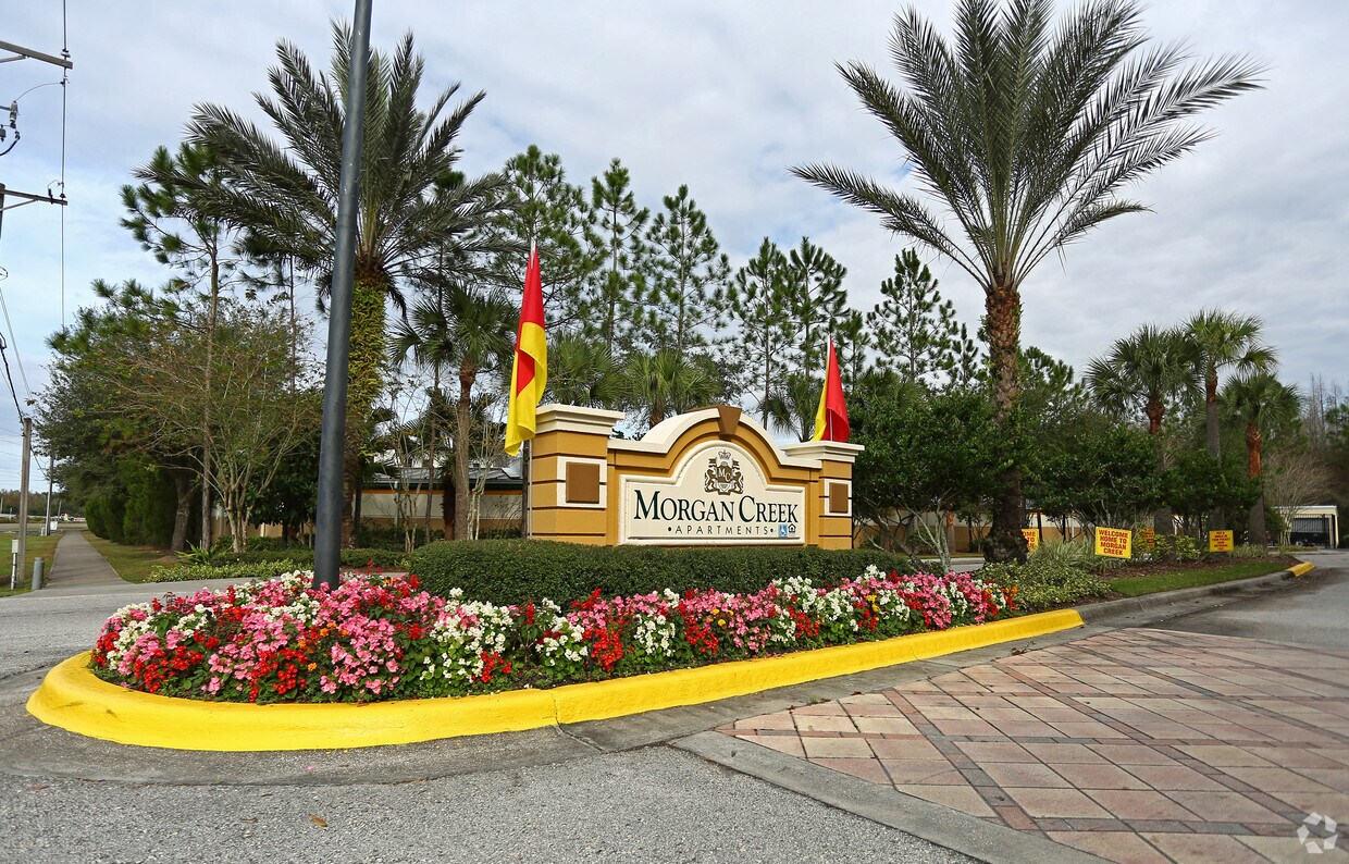 Morgan Creek Tampa