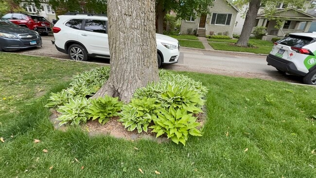 Building Photo - 1918 Noyes St