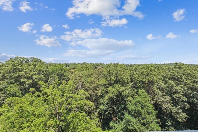 Building Photo - Great 2 Bedroom 2 Bath in Van Ness DC!