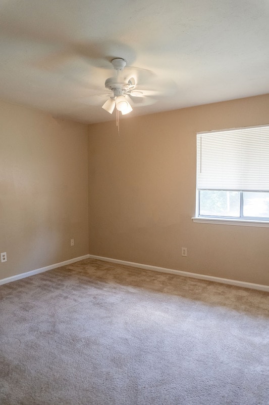 Building Photo - 709 Pointe Ct
