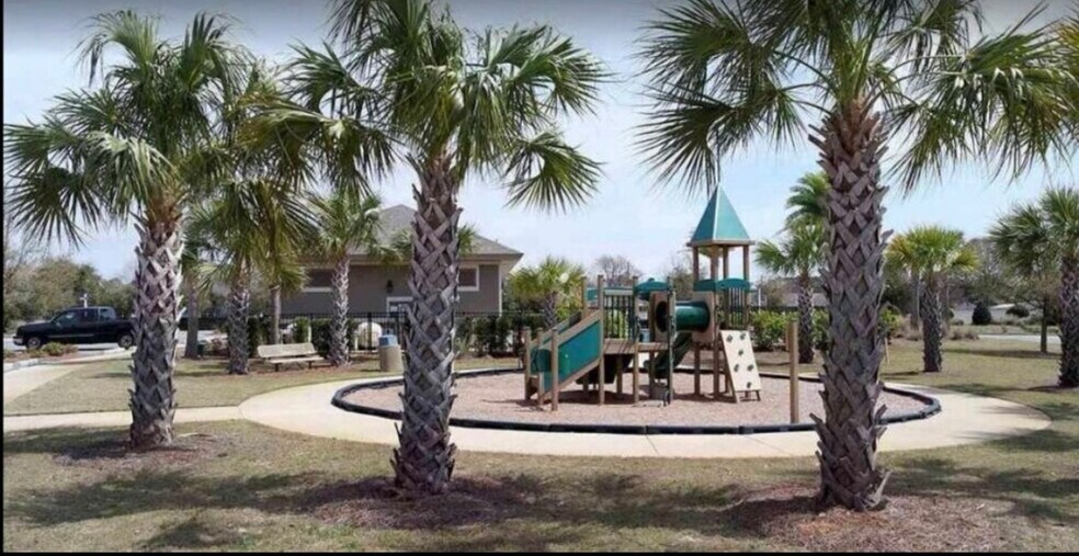Community park - 2127 Wilsons Plover Cir