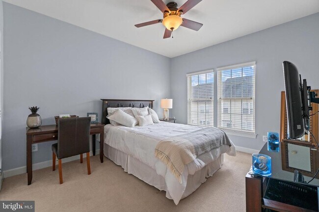 Building Photo - POTOMAC CLUB - SECONDS TO STONEBRIDGE