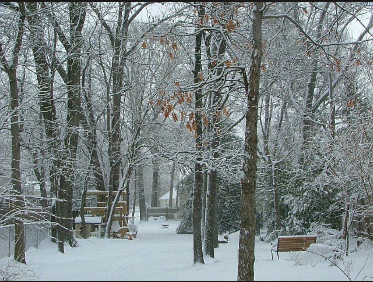 Building Photo - 545 Old Stage Rd