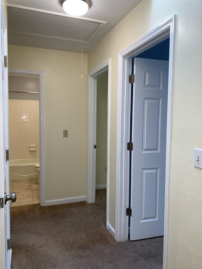 Building Photo - 552 Teal Ln