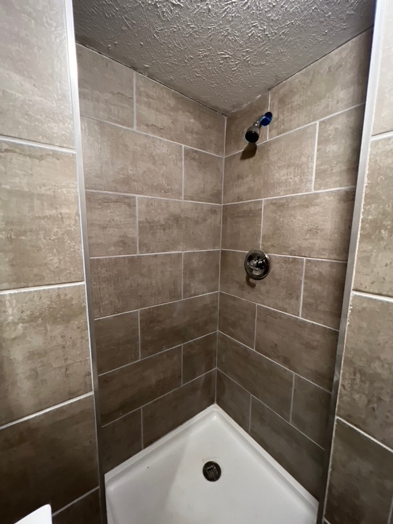 BASEMENT BA - 269 E 13th Ave