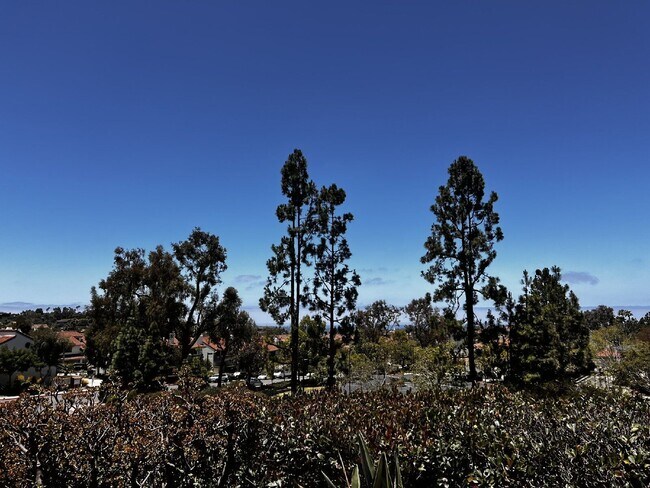 Building Photo - 6991 Ballena Way