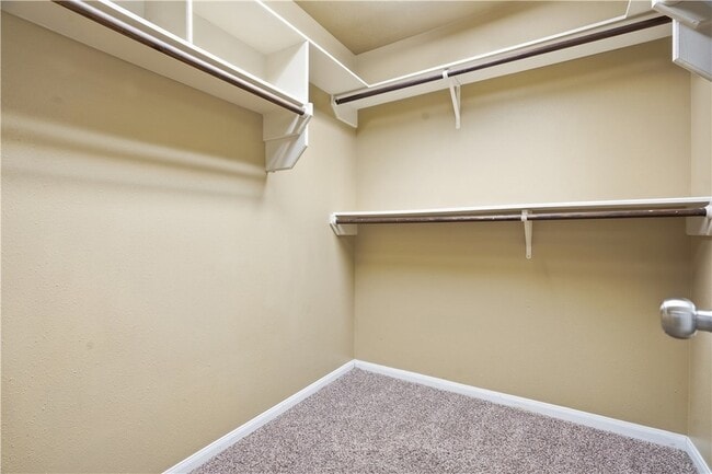 Building Photo - 2443 Pintail Loop