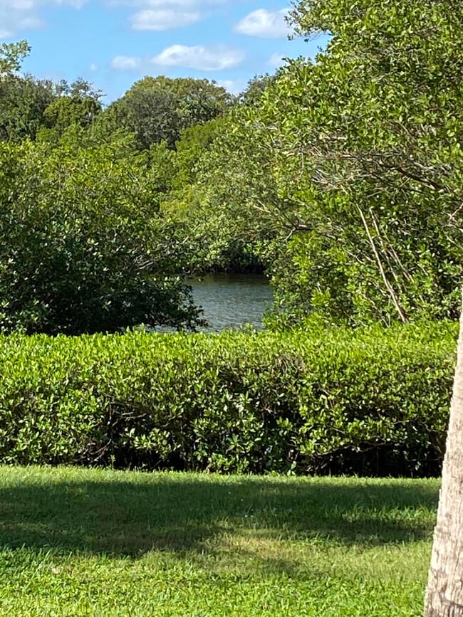 Building Photo - 6183 Riverwalk Ln