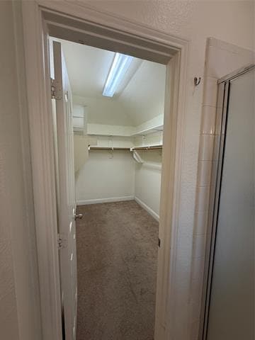 Building Photo - 3101 Spanish Oak Trail